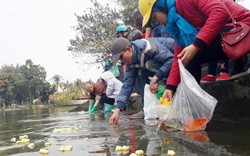 Cảnh đối lập ngày hàng vạn người thả cá chép tiễn ông Công ông Táo