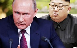 Putin giáng cú đấm mạnh khiến Triều Tiên liêu xiêu
