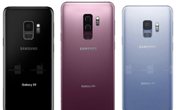 Galaxy S9 và Galaxy S9+ sẽ có những tùy chọn màu nào?