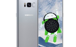 Galaxy S8 đã được cập nhật lên Android 8.0 Oreo