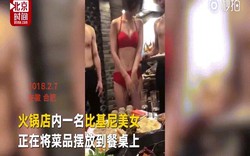 TQ: Mỹ nữ mặc bikini gợi cảm phục vụ khách trong quán ăn