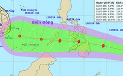 Bão cấp 8 xuất hiện gần biển Đông