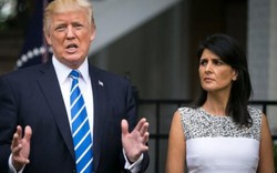 Nikki Haley – ngôi sao đột phá của chính quyền Trump