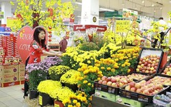 Ngắm "rừng" hoa tết rực rỡ trong siêu thị