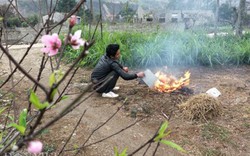 Chơi trội, dân Ninh Bình làm "cầy tơ 7 món" ăn giải xui cuối năm