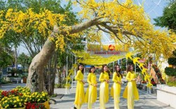 Sun World Danang Wonders đã sẵn sàng bùng nổ với lễ hội “Mai vàng sắc xuân”