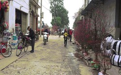 Dân làng Quan Độ phủ bạt lên nóc nhà đón Tết sau vụ nổ rung chuyển Bắc Ninh
