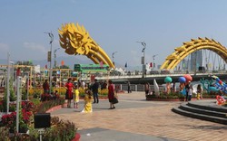 Đường hoa xuân Đà Nẵng khoe sắc thu hút người dân và du khách
