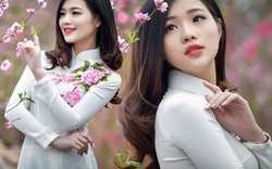 Nữ MC Hà Nội đẹp "quên lối về" bên vườn đào Tết