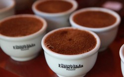 Loại cà phê hiếm và đắt nhất thế giới, mỗi tách có giá ít nhất 1,2 triệu đồng