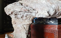 Một người công bố sở hữu khối gỗ nu hóa thạch quý hiếm nặng 140kg