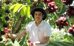 Hotboy K'Ho bỏ phố về nuôi heo, trồng cà phê: Tưởng dại mà hóa khôn