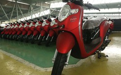 Honda Scoopy 2018: Đồ họa mới, màu sắc mới, giá cả phải chăng