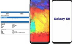 Lộ điểm Geekbench của Galaxy S9+: iPhone X "tuổi gì"?