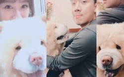 Trấn Thành - Hari Won chơi với chó cưng đầu năm Mậu Tuất gây "bão"