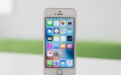 iPhone SE 2 vẫn mi nhon với màn hình cỡ 4,2 inch