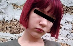 Kinh hoàng bé gái 12 tuổi bị đàn chó hoang xé xác