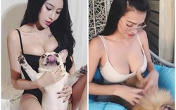 Dàn mỹ nhân mặc trễ nải đùa giỡn, massage cho cún cưng