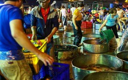 Chợ cá lóc đồng lớn nhất Sài Gòn tấp nập ngày vía Thần Tài
