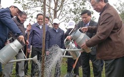 Tết trồng cây 2018: Thêm 60.000 cây xanh được trồng tại Bắc Ninh