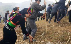 Hàng trăm người tham gia cầu mùa, lên nương gieo cấy ở Yên Bái