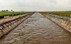Bình Phước: Chính thức mở nước công trình thủy lợi trị giá 300 tỷ