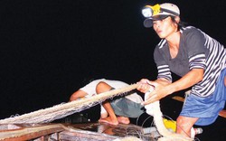 Hành trình trắng đêm theo dấu "săn" cá bông lau trên sông Vàm Nao