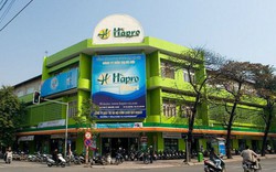 Công ty TNHH Motor N.A Việt Nam sẽ chi 1.830 tỷ thâu tóm “đất vàng” Hapro