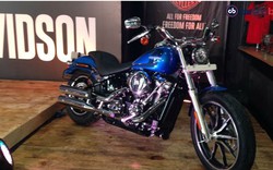 Softail Deluxe và Softail Low Rider ra mắt, giá từ 454 triệu đồng