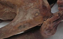 Xác ướp 5.200 năm tuổi có hình xăm quyền lực, cổ nhất thế giới