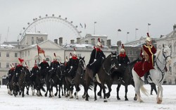 Chùm ảnh: London hóa xứ sở thần tiên nhờ "Quái vật phương Đông"