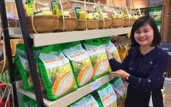 Nông dân Quảng Trị trồng lúa "kiểu lạ", bán giá nhiều nơi phát thèm