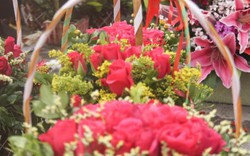 Hoa hồng dịp 8.3: Hoa vườn siêu rẻ, hoa phố vẫn đắt