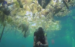 Kinh hoàng cảnh biển Bali bị con người làm cho "nghẹt thở"