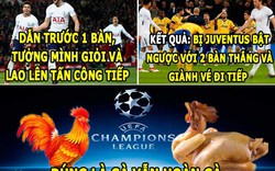 ẢNH CHẾ HÔM NAY (8.3): Tottenham chỉ là “gà”, PSG “lót nền”