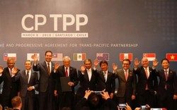 Lĩnh vực nào ảnh hưởng lớn nhất khi Việt Nam tham gia CPTPP