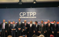 “Mỹ không tham gia CPTPP, lợi ích của Việt Nam sẽ ít hơn”