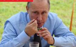 Putin thuê đội quân nếm thức ăn vì sợ đầu độc?