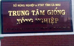 Cà Mau: Đột nhập Trung tâm giống lấy trộm hơn 100 triệu đồng