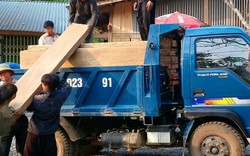Lai Châu: Chuyển gỗ từ rừng giữa ban ngày, kiểm lâm không hay biết