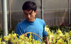 Nông dân 4.0 trồng lan giữa đất Mỏ, "đút túi" 1,5 tỷ sau vụ hoa Tết