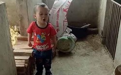 Clip bé 3 tuổi cãi nhau siêu đáng yêu với chó khiến dân mạng share chóng mặt