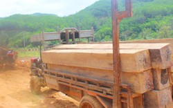 Xác định 7 đối tượng trong vụ bắt đoàn xe chở gỗ lậu ở Đắk Lắk