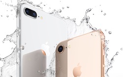 HOT: Apple khẩn cấp ngừng hoạt động sản xuất iPhone 8 trong 2 tuần