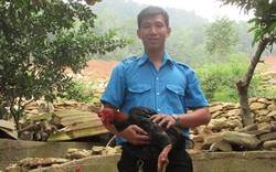 Bỏ việc lương thấp, 9X về nuôi gà Đông Tảo, kiếm hơn 30 triệu/tháng