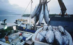 Nước Mỹ đảm bảo sản phẩm thuỷ hải sản nhập vào khắt khe như thế nào?