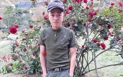 Vụ mất trộm cây hoa hồng giá 30 triệu ở Sơn La, công an xã nói gì?