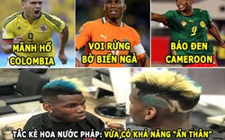 ẢNH CHẾ BÓNG ĐÁ (20.3): Pogba giống tắc kè, Ronaldo khiến fan Barca “tắt tiếng”