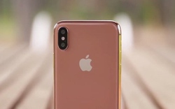 Lộ diện màu áo mới giúp phân biệt iPhone X mới với tiền nhiệm