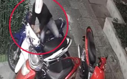 Clip: Dàn cảnh trộm xe máy trước cửa hàng hoa